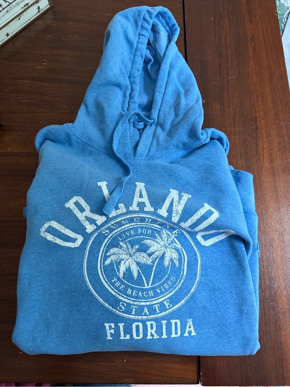 Orlando Florida Blue Hooded Sweatshirt - Graphic Pullover